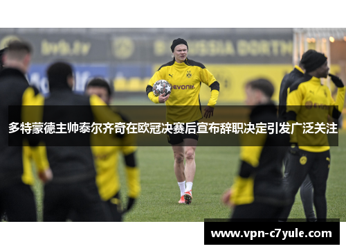 多特蒙德主帅泰尔齐奇在欧冠决赛后宣布辞职决定引发广泛关注