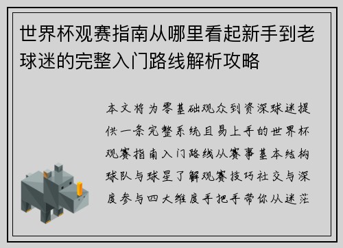 世界杯观赛指南从哪里看起新手到老球迷的完整入门路线解析攻略