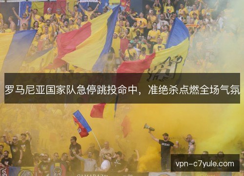 罗马尼亚国家队急停跳投命中，准绝杀点燃全场气氛